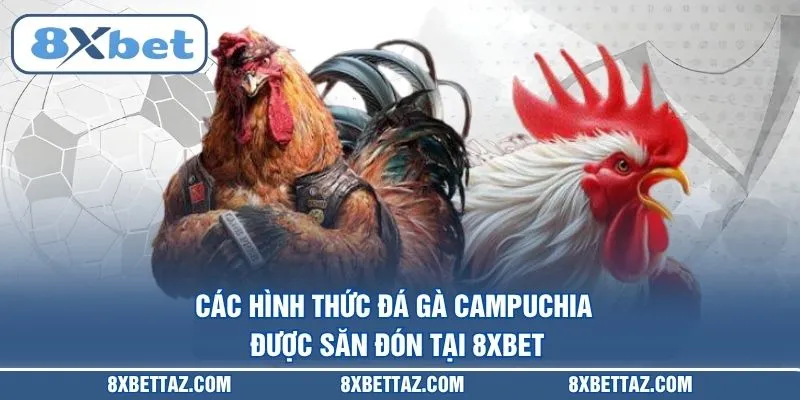 Các hình thức Đá gà Campuchia được săn đón tại 8XBET