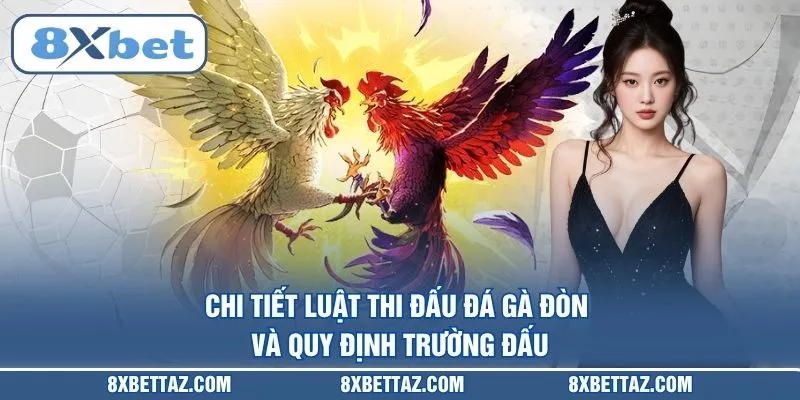 Chi tiết luật thi đấu Đá gà đòn và quy định trường đấu