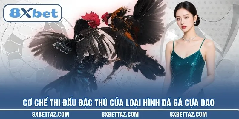 Cơ chế thi đấu đặc thù của loại hình Đá gà cựa dao